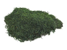 Mech Płaski Ciemnozielony Moss Green 0,5kg