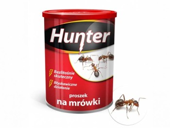 Proszek na mrówki Hunter 100g