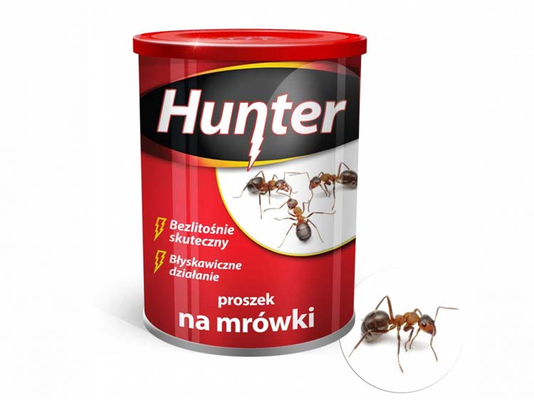 Proszek na mrówki Hunter 100g