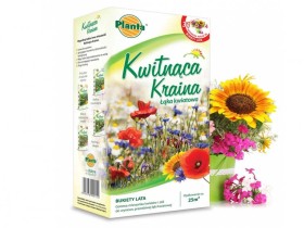 Trawnik Kwitnąca Kraina - Bukiety lata 0,2kg