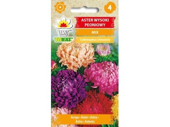 Nasiona Aster peoniowy wysoki mieszanka 1g