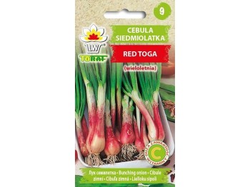 Nasiona Cebula Siedmiolatka Red Toga 1g