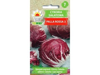 Nasiona Cykoria sałatowa Palla Rosa 3 5g