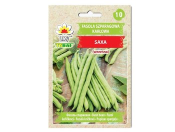 Nasiona Fasola szparagowa karłowa Saxa 30g