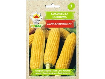 Nasiona Kukurydza Złota Karłowa 20g