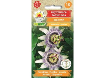 Nasiona Męczennica Passiflora błękitna 0,2g