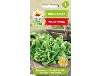 Nasiona Roszponka Verte de Cambrai 1g