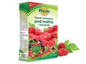 Nawóz do malin i porzeczek PLANTA 1kg