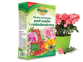 Nawóz do azalii i rododendronów PLANTA 1kg