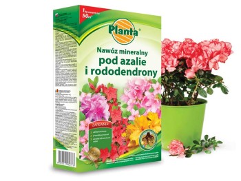 Nawóz do azalii i rododendronów PLANTA 1kg