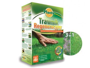 Trawnik REGENERACYJNY z nawozem 1kg