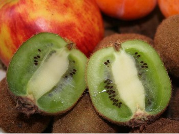 Actinidia (kiwi berry) Solissimo® Renact