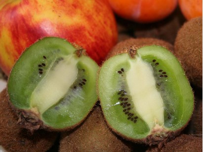 Actinidia (kiwi berry) Solissimo® Renact